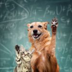 Cat and Dog raising hands 768x666