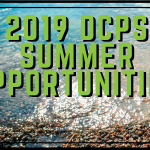 2019 Summer Opportunities