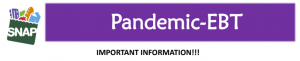 pandemic ebt nevada