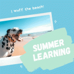 SUMMER LEARNING